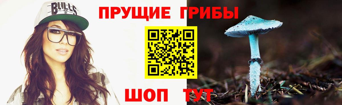 купить наркоту  Вход с VPN  Кашира  Псилоцибиновые грибы MAGIC MUSHROOMS 